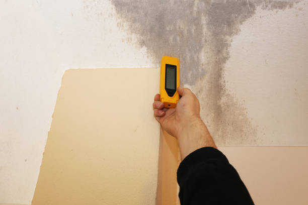 Best Dehumidification Services  in Pine Hills, CA