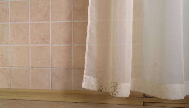 Best Commercial Mold Inspection  in Pine Hills, CA