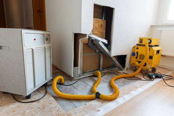 Best Forensic Mold Investigation  in Pine Hills, CA