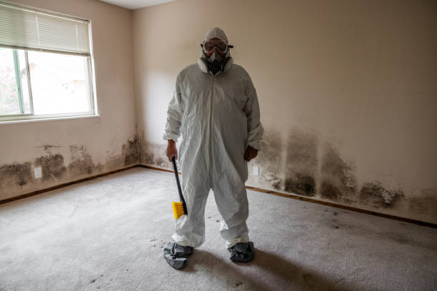 Best Attic Mold Removal  in Pine Hills, CA