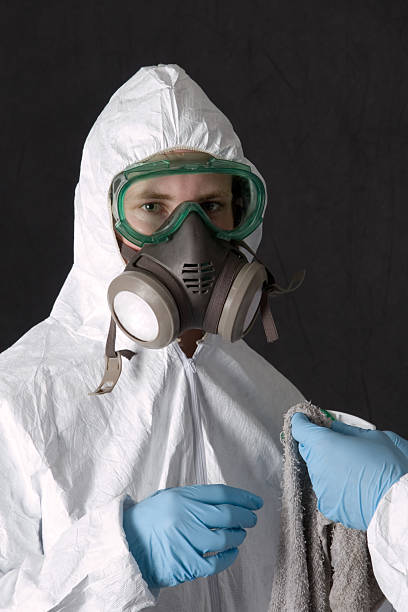 Best Mold Prevention Services  in Pine Hills, CA